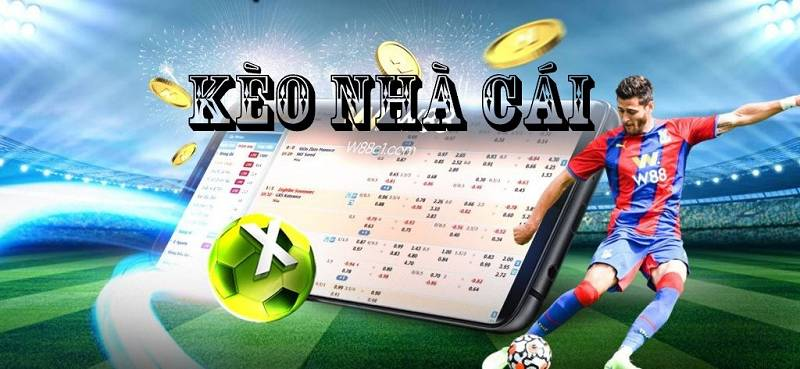 Keo Nha Cai Guide to Football Betting Odds and Trends