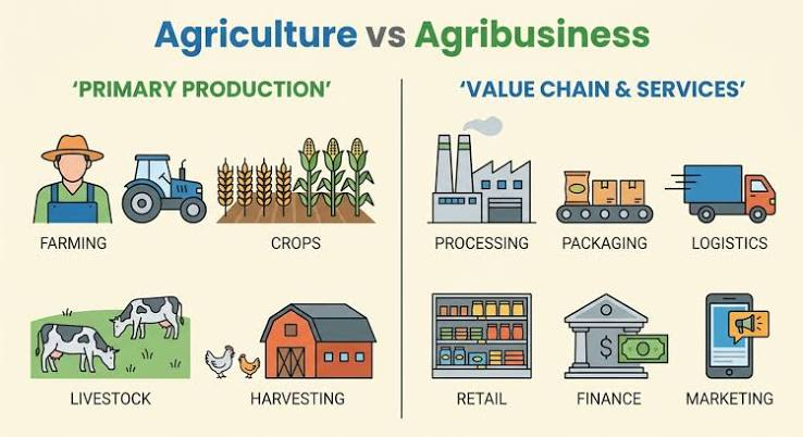 The Complete Agribusiness Consulting Guide for US Producers: Land, Operations, and Growth Strategy Explained